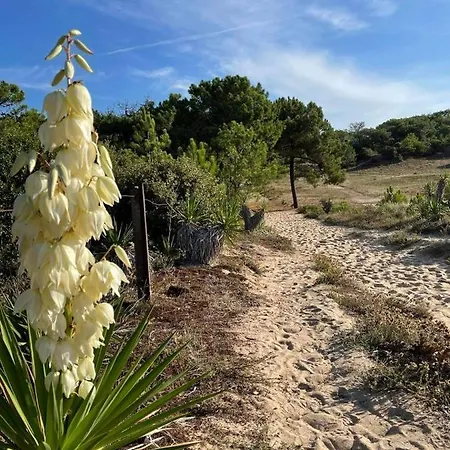Maison Dans Les Dunes Hébergement de vacances Barbâtre