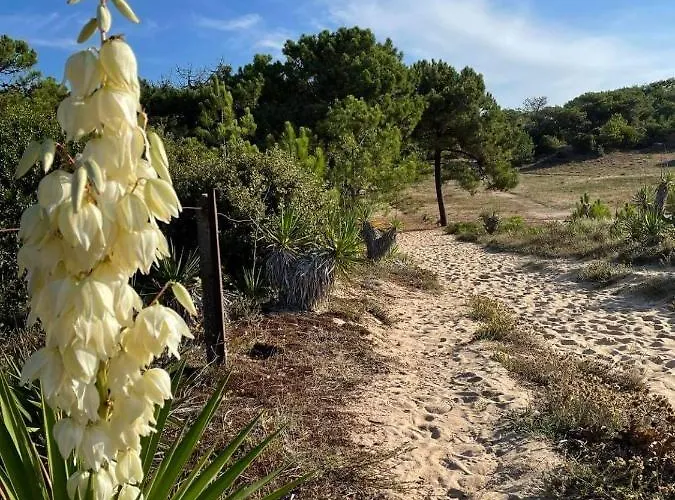 Maison Dans Les Dunes Semesterbostad Barbâtre